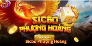 Giới thiệu game sicbo phượng hoàng cực hấp dẫn